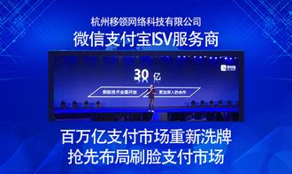 刷臉支付代理項目賺錢嗎